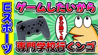 【バカ】ゲームしたいしeスポーツ専門学校行くンゴ！→スレ立て結果ｗｗｗ-プロゲーマーを目指してeSports専門学校を目指すイッチ、しかしその旨を親やスレ民に話すと...ｗｗｗ【2ch】