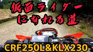 翔べ！CRF250L\u0026KLX230！瀞川氷ノ山林道！後編