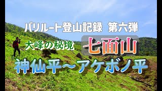 バリルート登山記録第六弾　神仙平～アケボノ平（大峯の秘境）