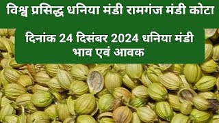 Today dhaniya bajar |24/12/2024 dhaniya bajar| Today coriander bajar| Ramganj Mandi Coriander Bazar Bhav In