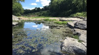 Devonian Fossil Gorge in Coralville, Iowa, 4K, 60 FPS