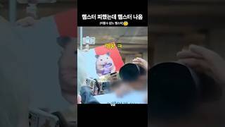 [세븐틴/호시]햄스터를 피했는데 또 있습니다