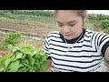 Picking vegetables, catching snails, cooking - Thu hien farm