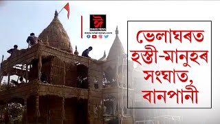 পদূলিমুখত হেঁপাহৰ ভোগালী বিহু। উজনিৰ পৰা নামনিলৈ ভোগালীক আদৰাৰ ব্যস্ততা।