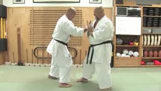 Alternative Sparring in Okinawan Karate