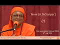 01 - How to Introspect | Interactive Session | Swami Nirviseshananda Tirtha