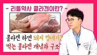 [콜라겐1] 먹는 콜라겐의 개념과 종류, 구조, 효능, 흡수