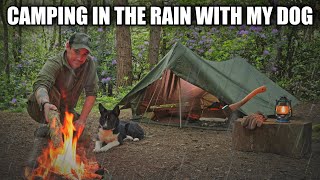 Heavy Rain all night - Woodland Adventure With My Dog in The F1 French Military