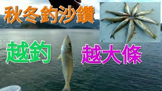 釣大碌沙鑽 新釣點介紹 岸釣|遠投|沙鑽~綠鷹海星灣釣魚樂(3)