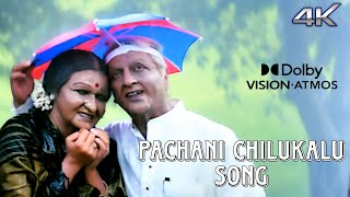 Pachani Chilukalu 4k Video Song ||Bharateeyudu || KamalHaasan || Manisha || A.R Rahman