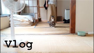 【アラフィフ独身女／一人暮らし】Vlog／とある平日