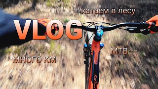 TRUE VLOG Велосипедный: Поехали в лес, Проехали почти 100км на MTB, Нашли приключения