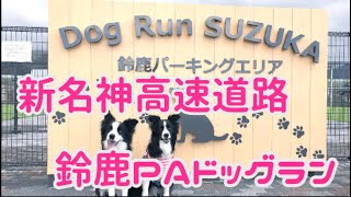 鈴鹿PAドッグラン 新名神高速道路 犬連れ旅の休憩スポット！