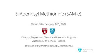 S-Adenosylmethionine (SAMe) for Depression: What Does the Evidence Say?