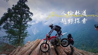 CRF150 NO.947越野紀錄~~人倫林道|卓棍溪|水晶礦場|伐木區 4K