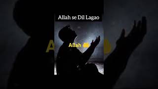 🕋🤲 Allah se Dil Lagao #islam #allah #bayan #viral #shorts #youtube #video
