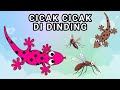 LAGU ANAK CICAK DI DINDING🦎🦎💫LAGU ANAK INDONESIA❤️🦎✨LAGU ANAK TERPOPULER CICAK MERAYAP💞🦎❣️