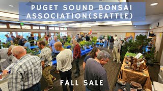 PSBA Bonsai Fall Sale