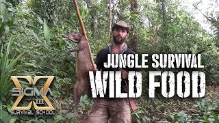 Living off the Jungle, Wild Foods Tour Living off the Jungle, Wild Foods Tour