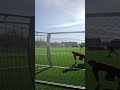 rate this save soccer goalkeeper torwart kaleci goleiro portero gardien gripmode