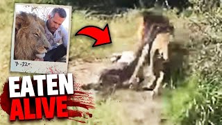 After EATING 6 People Alive This Lion Was FINALLY Caught!