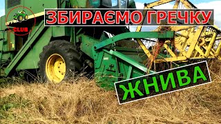 Збираєм Гречку | Скільки гречки можна зібрати з 20 сотиків?Який урожай гречки.Робота комбайна Джон