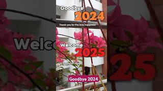 Happy New Year 2025 and Goodbye 2024