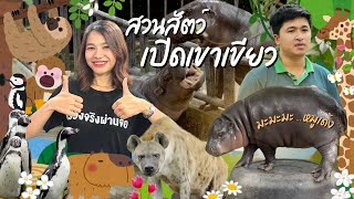 หมูเด้ง คนดังแห่งสวนสัตว์เปิดเขาเขียว I เรื่องจริงรีวิว