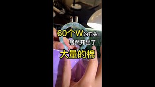 600000的石头切开是怎么样的 今天就替大家切了！！！大家看看怎么样 #缅甸翡翠 #翡翠原石 #天然翡翠 #翡翠