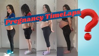 Juli S Pregnancy Timelaps