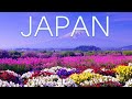 Top 15 Best Places To Visit In Japan