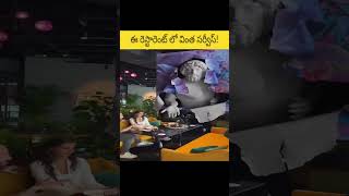 ఈ రెస్టారెంట్ లో వింత సర్వీస్! #shorts #viral #restaurant