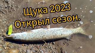 Щука 2023.Сезон открыл.