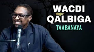 WACDI QALBIGA TAABANAYA