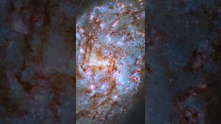 NGC 1087, Hubble Captures A Beautiful Barred Spiral Galaxy, #shorts