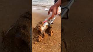 The best Fishing Videos   Catching Seafood Include Fish  Crab