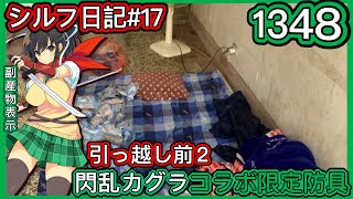 【ログレス】シルフ日記#18『引っ越し前のこと-2-❗️閃乱カグラコラボ限定防具、1348石の結果❓』【副産物表示】230328