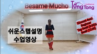 Besame Mucho (베사메 무쵸)/Beginner/쉽게 스텝설명 수업영상