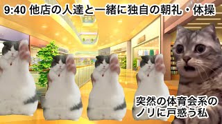 有名アイスクリーム店でバイトした時の話【猫ミーム】