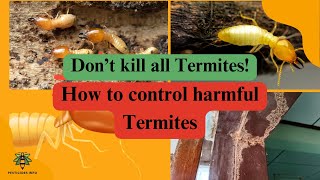 Termites!, The Hidden Helpers Agriculture,  how to kill harmful Termites.