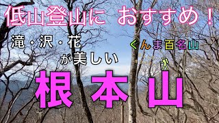 根本山（ねもとさん）おすすめ低山登山　滝・沢・花に出会える山　ぐんま百名山　群馬県桐生市【山と音楽　m♪し音】