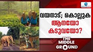 Wayanad Wild Animals | കൊല്ലുന്നത് ആനയോ കടുവയോ? ജീവന് ഉറപ്പില്ലാത്ത വയനാട്ടിലെ മനുഷ്യർ!