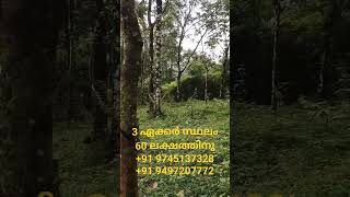 3 ഏക്കർ സ്ഥലം മികച്ച വിലയിൽ സ്വന്തമാക്കാം #shorts #land #farm#landsale #landsale #homeland #idukki