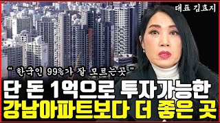 단 돈 1억원으로 투자할 수 있는 강남아파트보다 안전하고 많이 오를 투자처 1곳 I 김효지