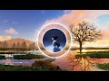 The Marías - Echo (Visualizer)