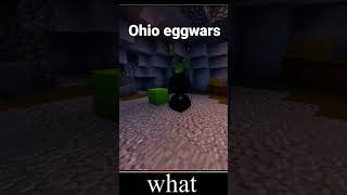 Ohio eggwars #memes #minecraft #minecraftshorts