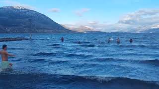 Polar Bear 🐻‍❄️ Swim 👙 to finish off the Frost Fest 🥶 ❄️ #southokanagan #frostfest #okanagan