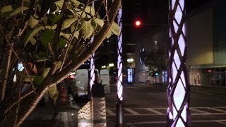 Close to Home - a Symbol of Resilience