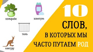 Какого рода ТЮЛЬ, ШАМПУНЬ, КОФЕ? Топ 10 слов, где часто путают род