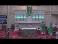 Fifteenth Sunday in Ordinary Time 常年期第十五主日 2024 - Old St Mary's Cathedral, SF.